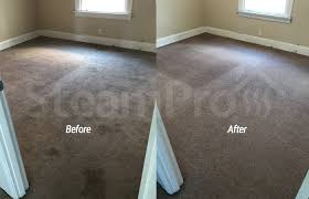 professional carpet cleaning company