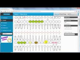 Online Patient Records And Charts Dentalcharting Com