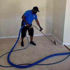 the 10 best carpet cleaning services in