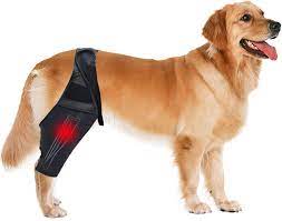 dog knee brace dog leg support for torn