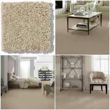 carpet shaw carpet r2x soil and