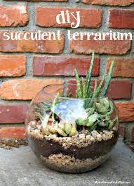 Succulent Terrarium In A Clear Glass