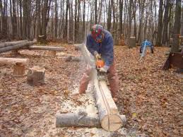 advice in sawmillilling