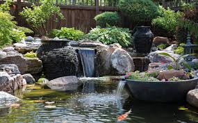 Waterfall Ideas For Backyard Garden