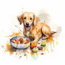 vet approved homemade dog food recipes