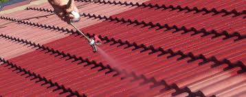 Roof Painting Cost Brisbane North