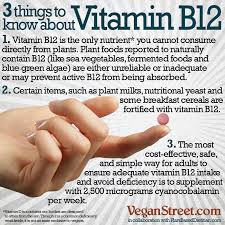 Three Things To Know About Vitamin B12 Plant Based Dietitian