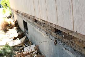 how to replace rotted t1 11 lp siding
