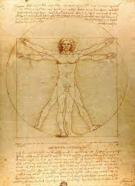 Купить цифровую версию картины: Леонардо да Винчи - Витрувианский человек  (пропорции человеческого тела), Венеция | Артхив