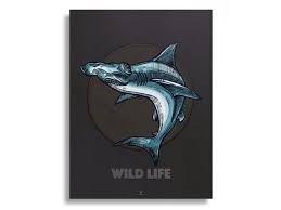 Shark Poster Wild Life Art Shark Prints