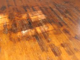 remove pet stains from hardwood floors