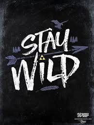 stay wild hd wallpapers pxfuel