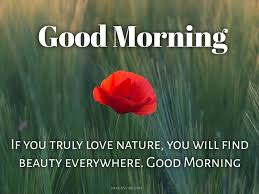 good morning nature images es in