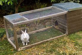 7 Beautiful Diy Rabbit Hutches You Can