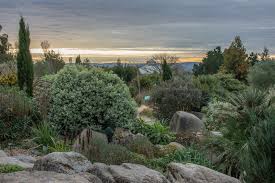 hyde hall show 2021 alpine garden society