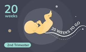 20 weeks pregnant garbh sanskar
