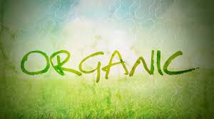What Does Organic Really Mean And Is It Worth My Money