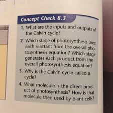 What Is Photosynthesis Brainly Com