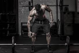 compound exercises to build muscle m