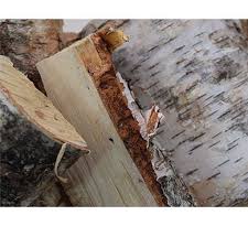 Birch Kiln Dried Logs Review For Your