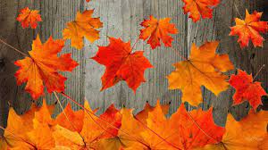 200 cute fall wallpapers wallpapers com
