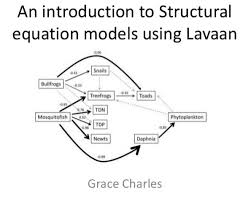 Structural Equation Modeling