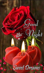 Good Night | Good night sweet dreams, Good night flowers ...