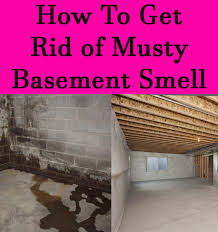 Mold And Mildew Smell In Your Basement