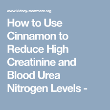How To Use Cinnamon To Reduce High Creatinine And Blood Urea