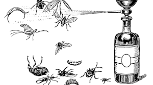 殺虫剤で無惨に殺される昆虫たちの「痛み」を法的に認めるべきだ | 最新研究から判明した証拠 | クーリエ・ジャポン