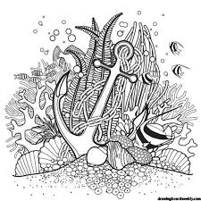 Download and print one of our coral reef coloring pages to keep little hands occupied at home; Coral Reef Coloring Page Drawing Board Weekly
