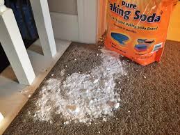 safely clean vomit from your carpet