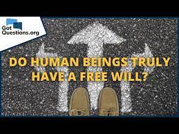do human beings truly have a free will
