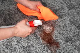expert carpet cleaning in burlington
