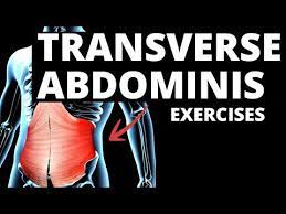 9 best transverse abdominis activation
