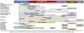 File Antibiotics Coverage Diagram Jpg Wikipedia