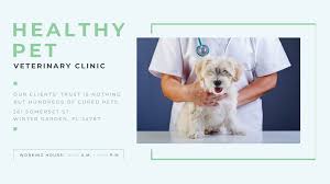 vet clinic ad doctor holding dog