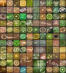 Geometria Sagrada - Uma coleção de diversos agroglifos (círculos nas  plantações, ou "crop circles" em inglês) que ilustram equações matemáticas  complexas. Círculos nas plantações foram aparecendo em campos de cereais em  todo