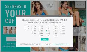 Sincerely Sara Style Books Aerie Bra Fitting Campaign