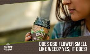 does cbd flower smell like weed a