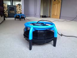 local carpet cleaning quick drying