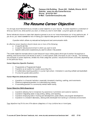 Nanny Resume Objective Sample Free Examples Pictures Help