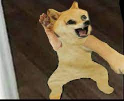 Why is cheems always crawling on the ground and not using his two back legs. All Doge And Cheems Meme Templates Collection 20 Total