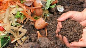 best compost to for vegetable