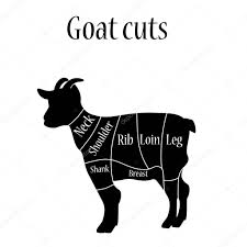 Goat Bucther Chart Stock Vector Viktorijareut 91857316