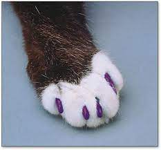 soft claws purple cat nail caps