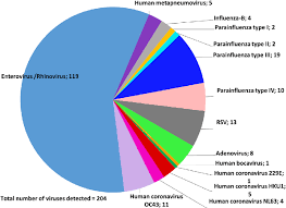 Pie Chart Displaying The Frequency Of Viruses Detected On Np