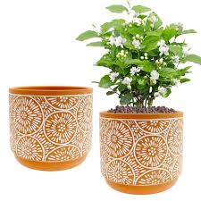 big ceramic pots for indoor plants