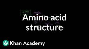 Amino Acid Structure Video Biomolecules Khan Academy