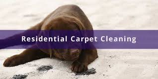 carpet cleaning services rug
